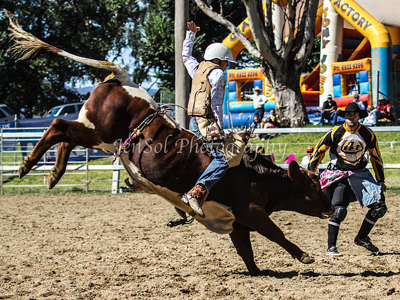 Tumut1b_0437