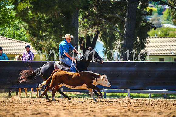 OrangeCampdraft2017_4319