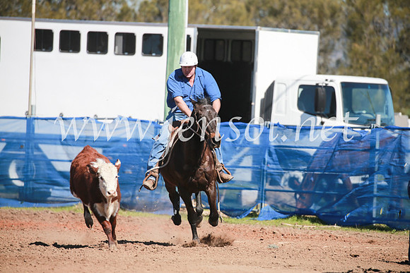 CCCampdraft2016_5784