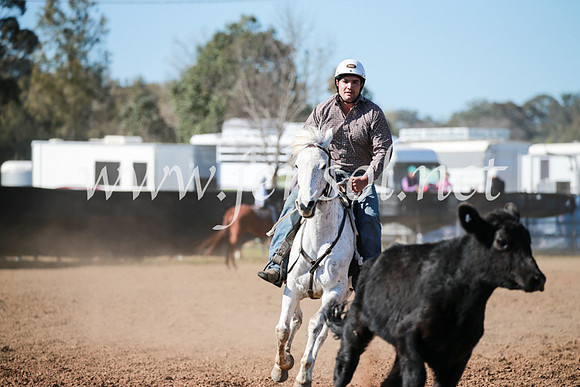 CCCampdraft2016_5297