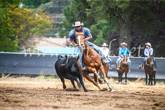 OrangeCampdraft2017_5836