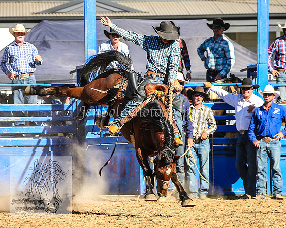 TumbarumbaRodeoNYD2025_2335