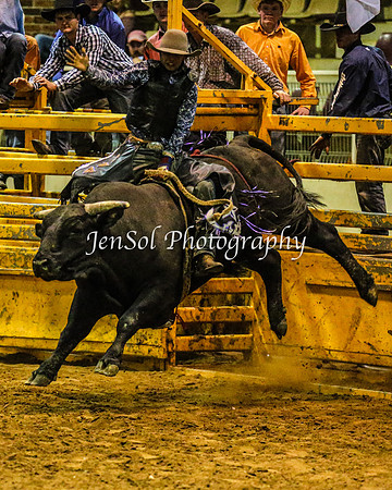 RealDealRodeoFeb2014_1172