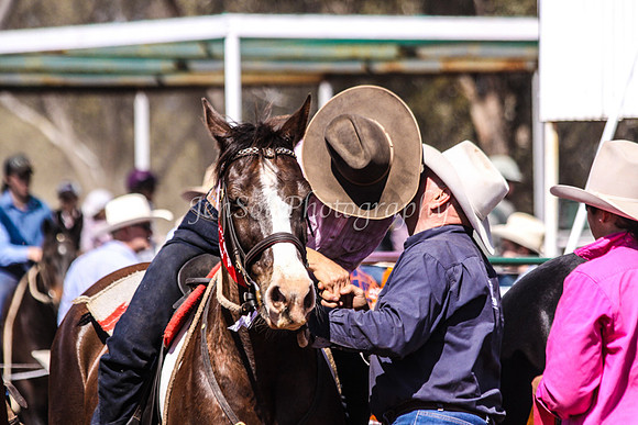 Wwyalong0767