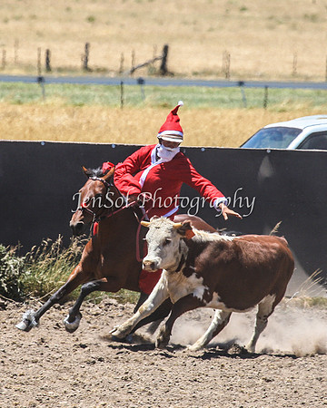 AdaminabyCampdraft2015_0482