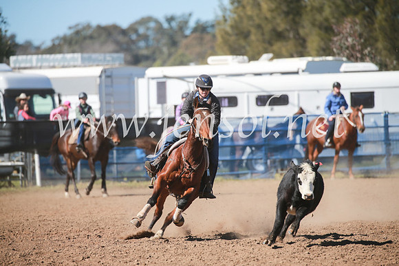 CCCampdraft2016_5492