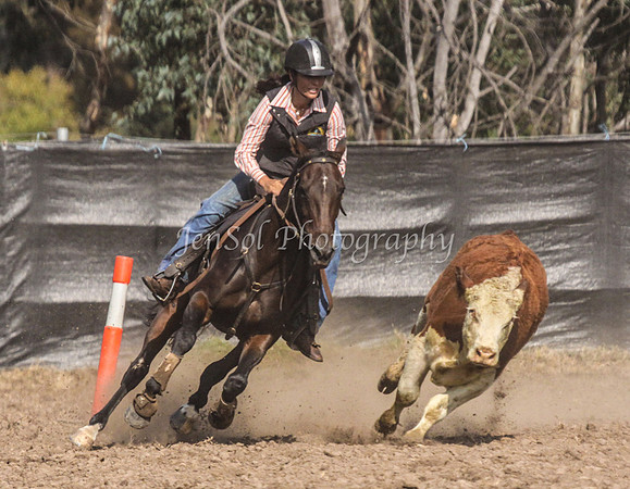 GundiOpen1_0215