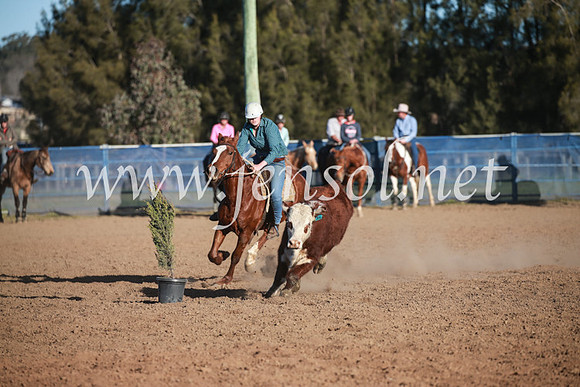 CCCampdraft2016_6671