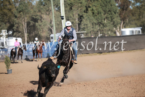 CCCampdraft2016_6632