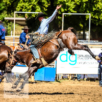 TumbarumbaRodeoNYD2025_0729