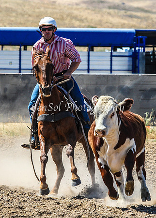 AdaminabyCampdraft2015_0204