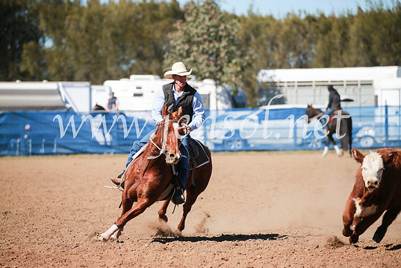 CCCampdraft2016_5513