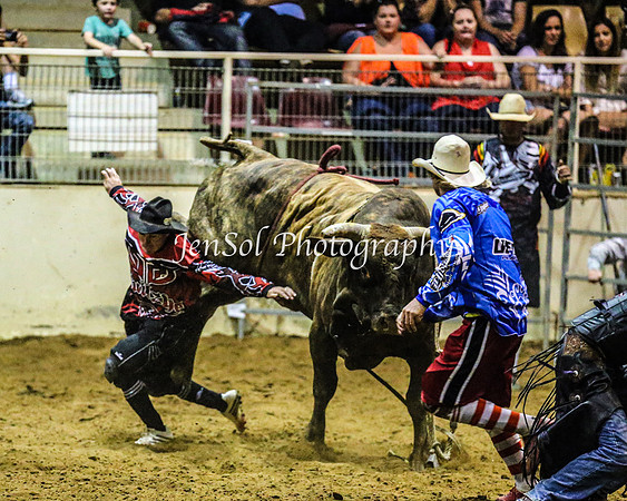 RealDealRodeoFeb2014_2181