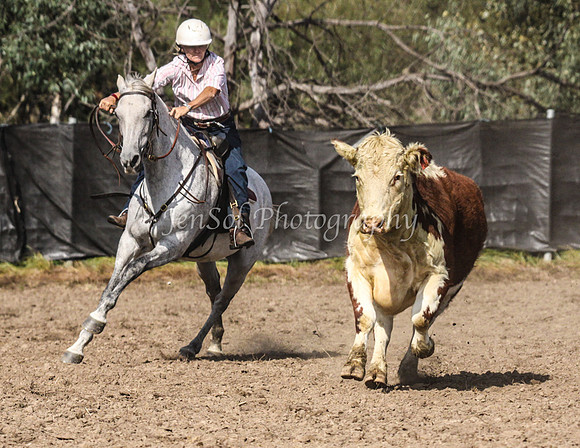 GundiOpen1_0236