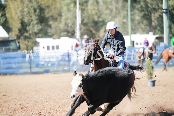 CCCampdraft2016_5602