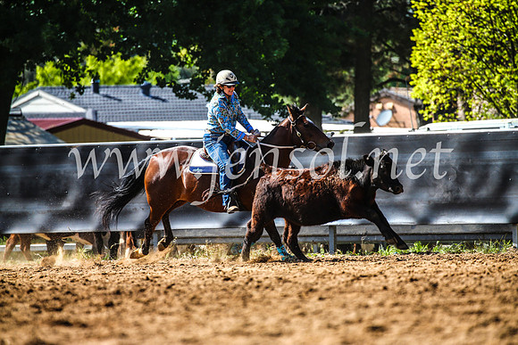 OrangeCampdraft2017_4236