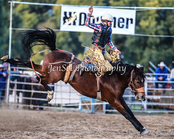 TumutRodeo2014_3865