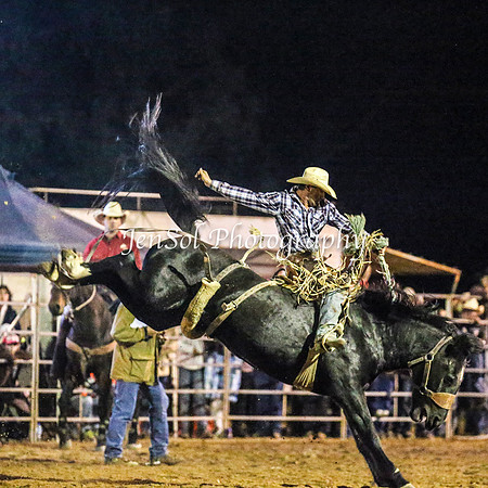 TumutRodeo2014_5248