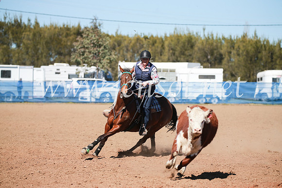 CCCampdraft2016_5797