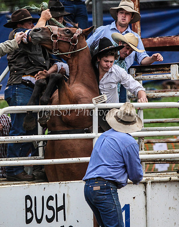 Cooma2_0065