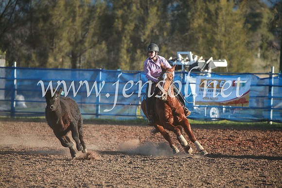 CCCampdraft2016_6806