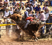 Taralga1_0420