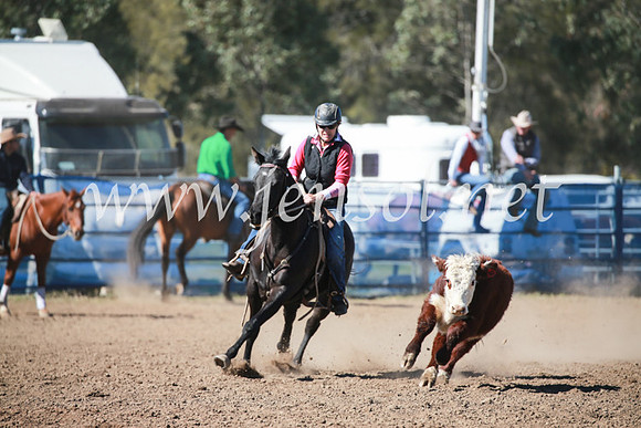 CCCampdraft2016_5597
