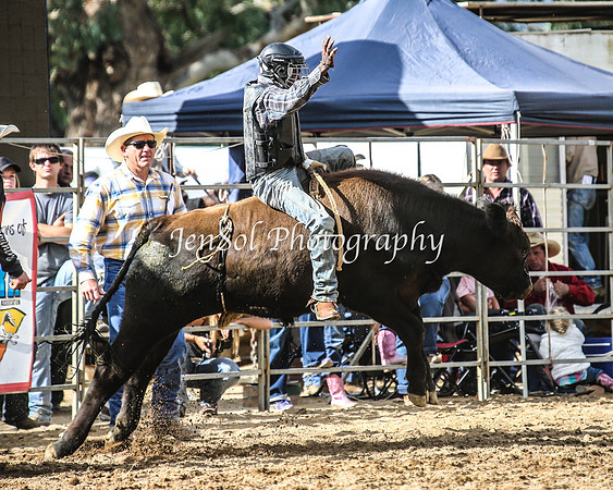 TumutRodeo2014_1788