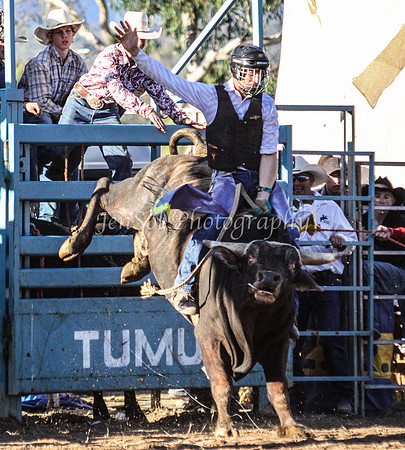 Tumut2_0435