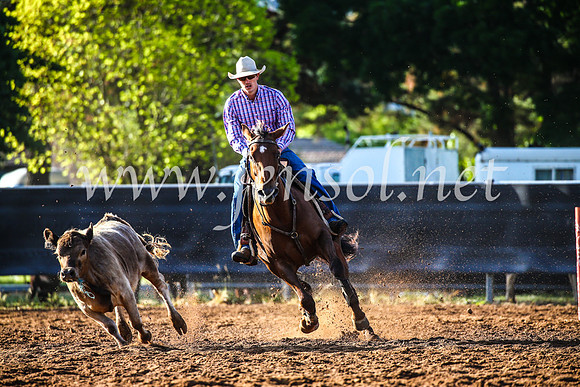OrangeCampdraft2017_3768