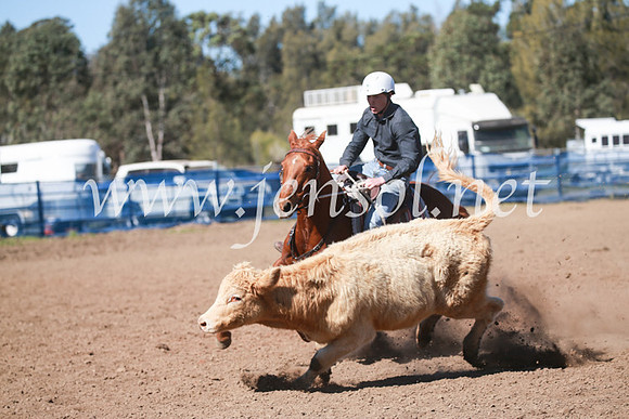 CCCampdraft2016_6080