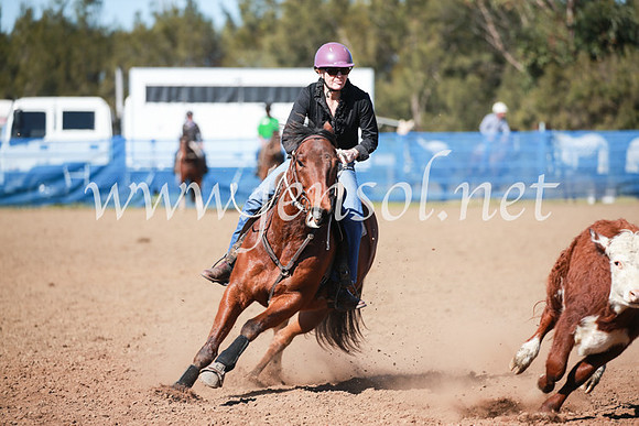 CCCampdraft2016_5503