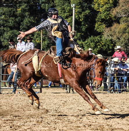 Tumut2_0325