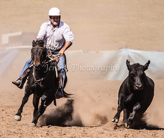 IMG_0300CabSat