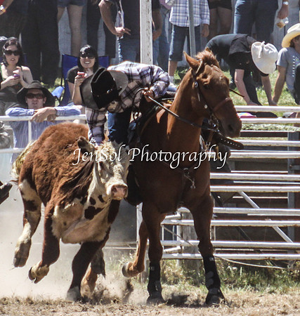 Bungendore2011_0894