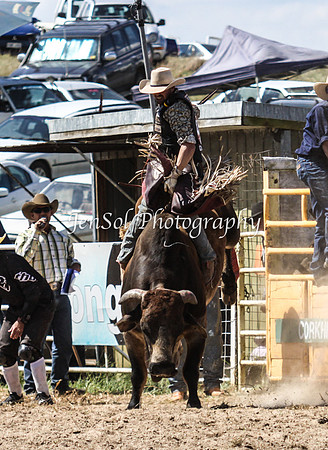 Bungendore2011_1098
