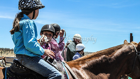 AdaminabyCampdraft2015_0707