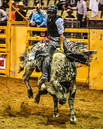 RealDealRodeoFeb2014_0822