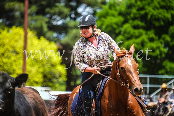 OrangeCampdraft2017_5463