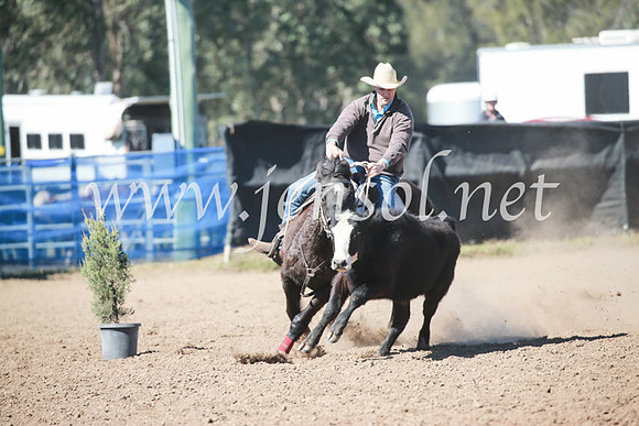 CCCampdraft2016_5720