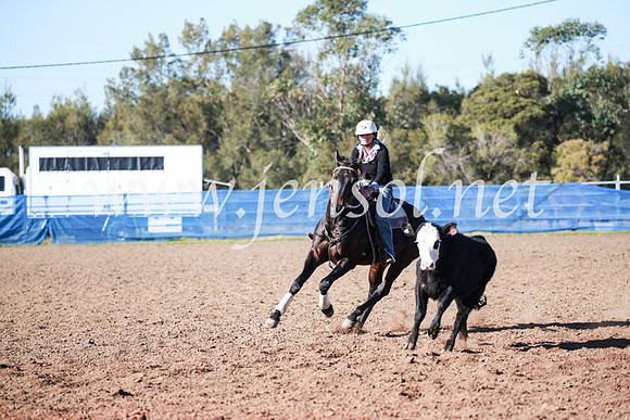 CCCampdraft2016_5154