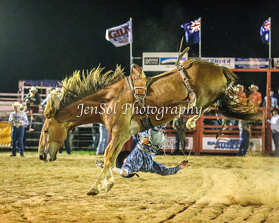 ForbesRodeo2014_3538