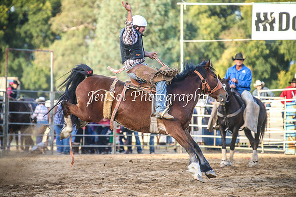 TumutRodeo2014_3650
