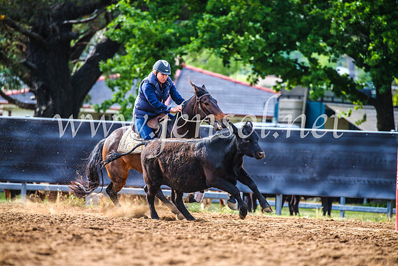 OrangeCampdraft2017_3883