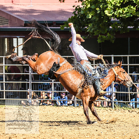 TumbarumbaRodeoNYD2025_1597