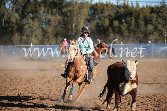 CCCampdraft2016_6761