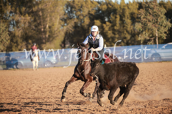 CCCampdraft2016_6906