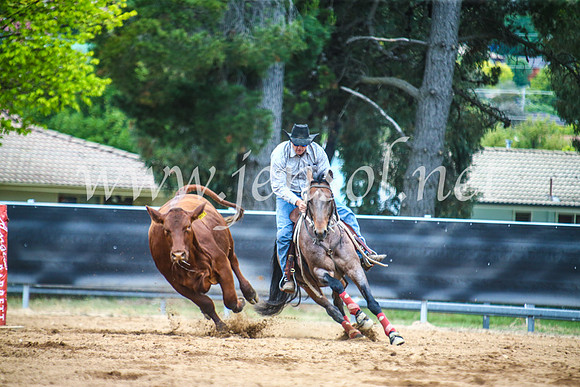 OrangeCampdraft2017_5802