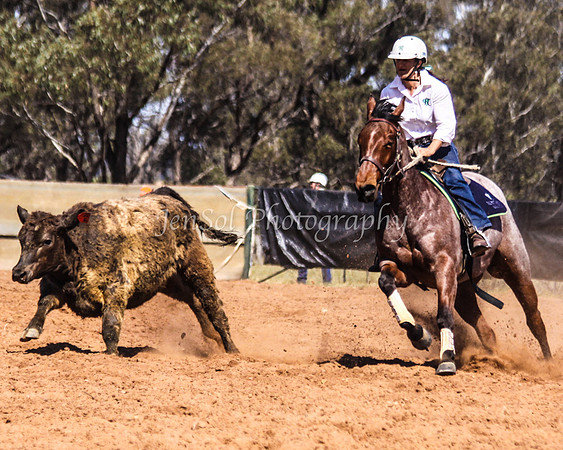 Wwyalong0714