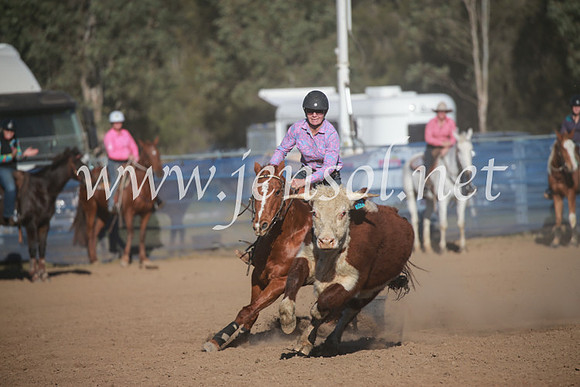 CCCampdraft2016_6470